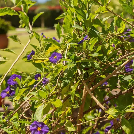 House Sopo Hébergement de vacances