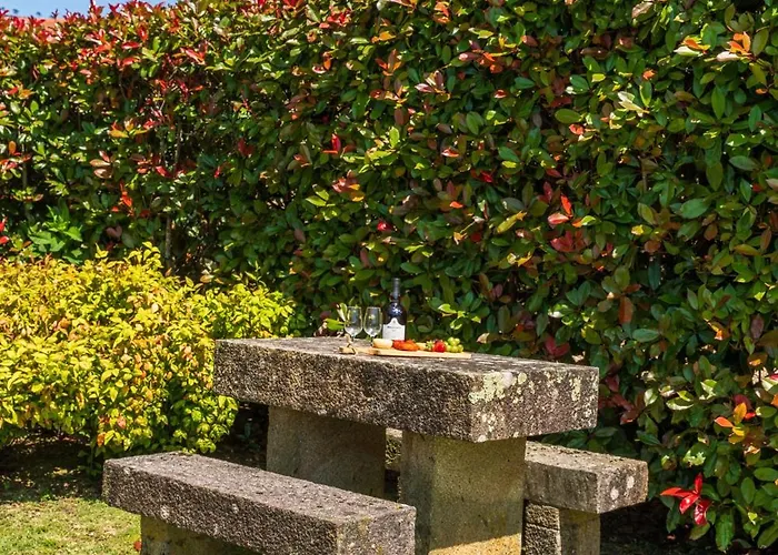 House Sopo Дом отдыха Вила-Нова-ди-Сервейра